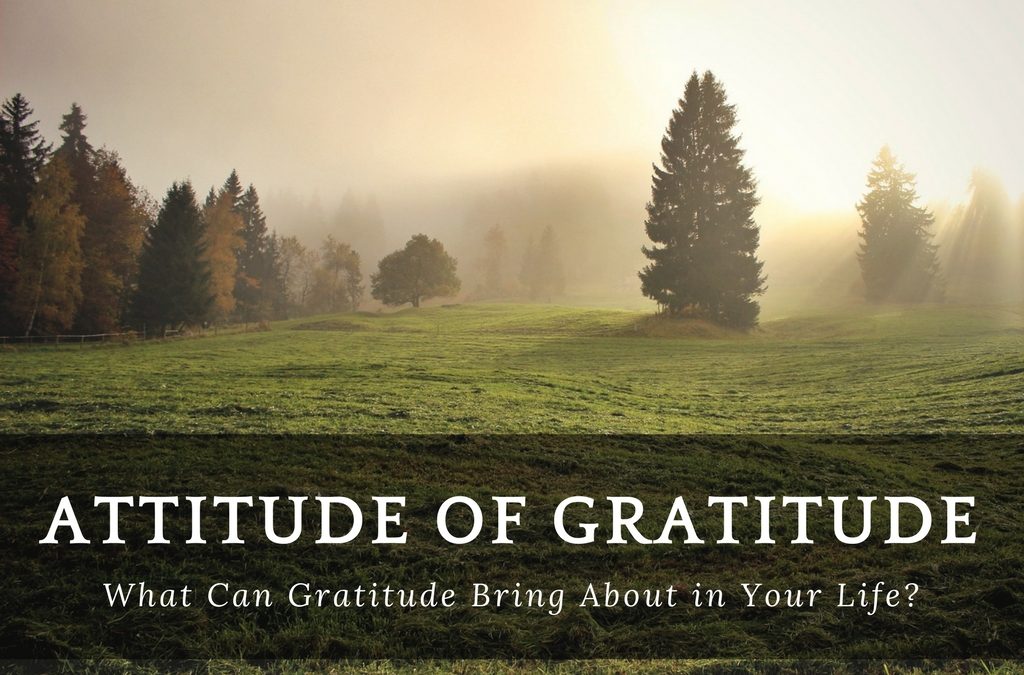 Attitude of Gratitude: What Can Gratitude Bring About in Your Life?
