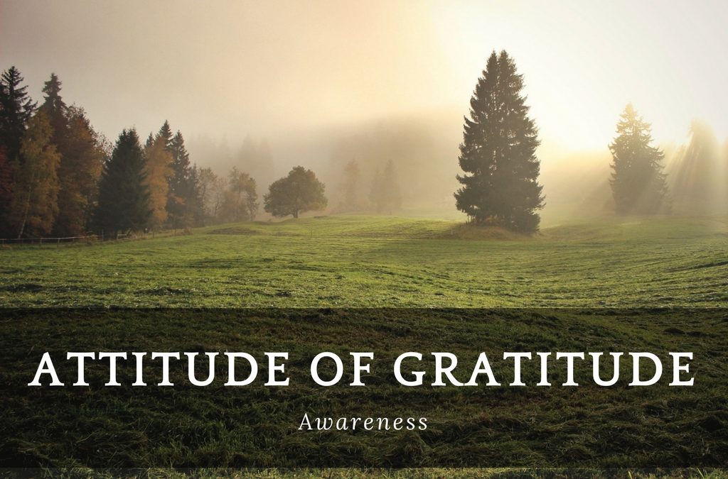 Attitude of Gratitude: Awareness